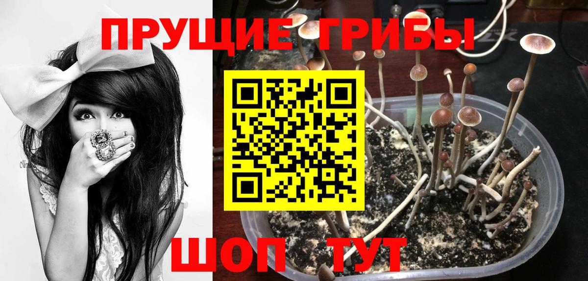 Псилоцибиновые грибы Psilocybe  Галлюциногенные грибы мицелий  Альметьевск  Вход с VPN 