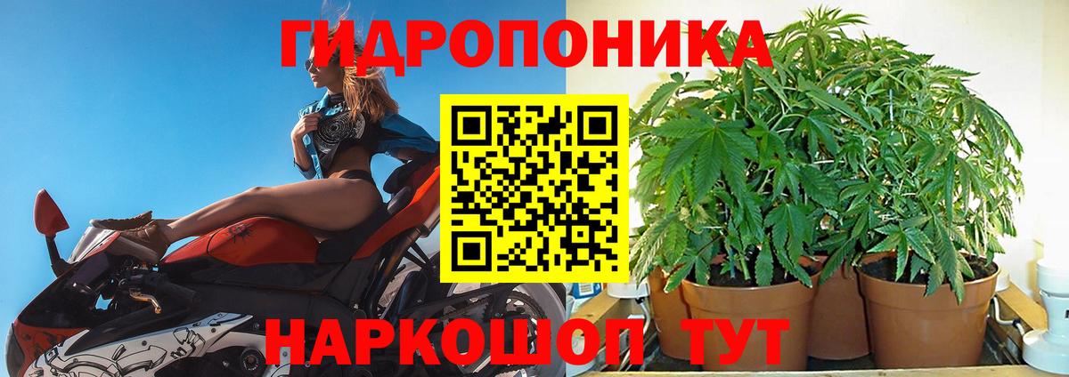 Бошки марихуана сатива  Каннабис SATIVA & INDICA  Вход с VPN  Каннабис семена  Альметьевск 
